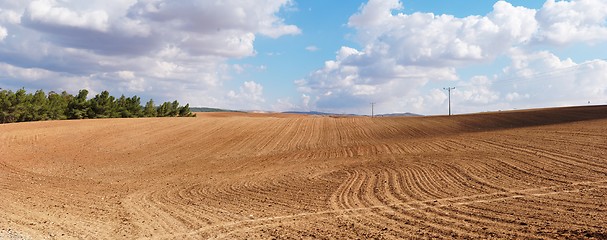 Image showing Panorama of yellow plowed field on cloudy day