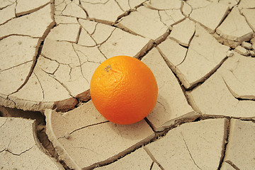 Image showing Juicy orange and drought.