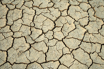 Image showing Cracks in the ground.