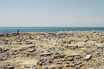 Image showing The stones on the beach.