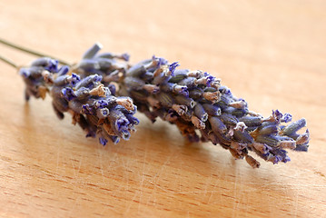 Image showing Lavender sprigs