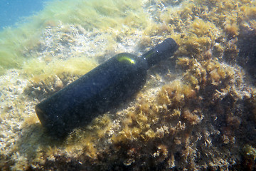 Image showing A bottle of wine under the water.