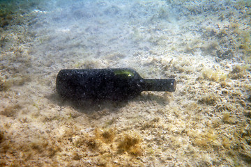 Image showing A bottle of wine under the water.