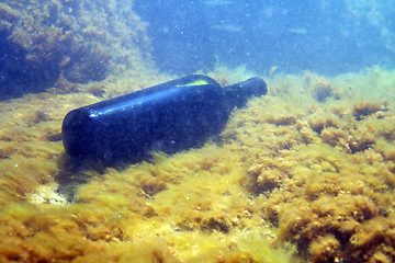 Image showing A bottle of wine under the water.