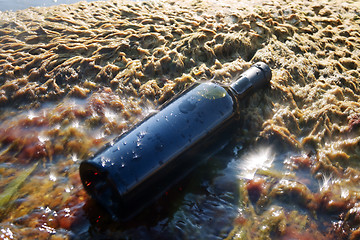 Image showing Wine in the bottle.