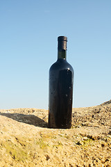 Image showing Wine in the bottle.