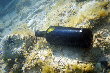 Image showing A bottle of wine under the water.