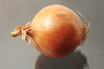 Image showing Onions.