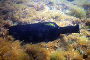 Image showing bottle of wine under the water.