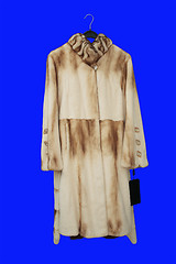 Image showing Fur coat.