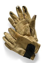 Image showing Work Gloves