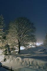 Image showing Winter in Pragelato