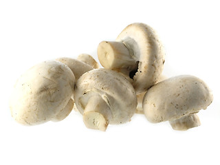 Image showing fresh champignon 