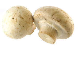 Image showing fresh champignon 