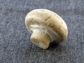 Image showing fresh champignon 