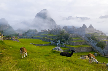 Image showing Machu Pichu