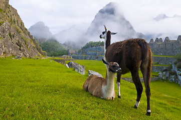 Image showing Machu Pichu