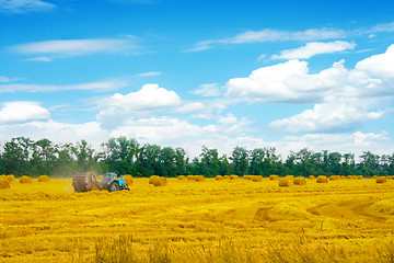 Image showing grain field