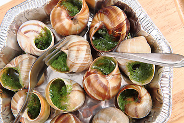 Image showing snails as nice french gourmet food background