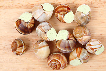 Image showing snails as nice french gourmet food background