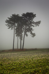 Image showing nebel