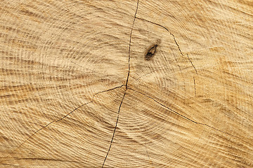 Image showing Structure of cutting log