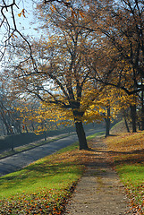 Image showing Autumn morning