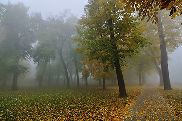 Image showing Fall morning