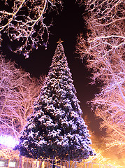 Image showing christmas tree