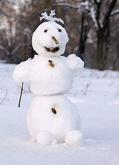 Image showing snowman