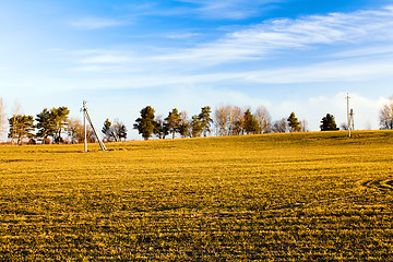 Image showing Agricultural field