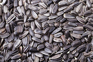 Image showing sunflower seeds