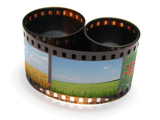 Image showing film with nature   