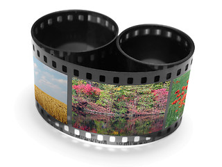 Image showing film with nature