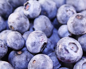 Image showing Blueberries (Macro)