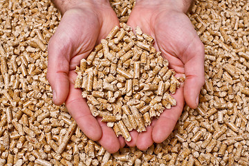 Image showing wood pellet