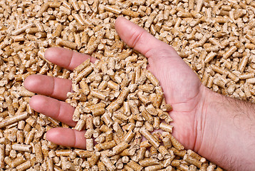 Image showing wood pellet