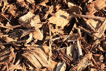 Image showing Chipped wood possibly of small twigs, branches of trees and woody shrubs