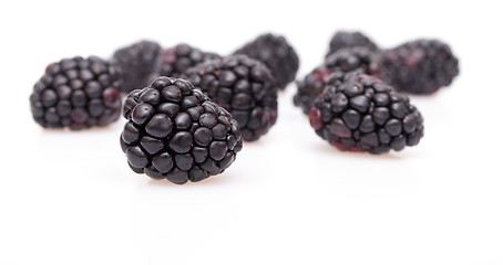 Image showing Blackberries