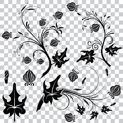 Image showing Floral element