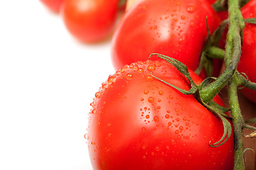 Image showing Tomatoes