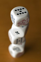 Image showing gamble1