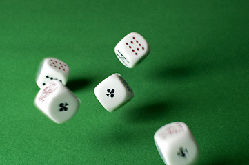 Image showing gamble2
