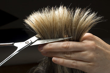 Image showing cuttinghair