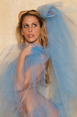 Image showing Blue tulle