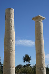 Image showing greek columns