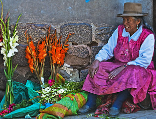 Image showing Peruvian woman