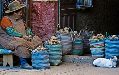 Image showing Peruvian woman