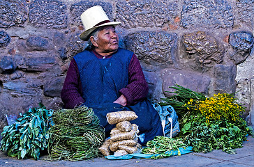 Image showing Peruvian woman