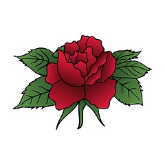 Image showing beautiful red rose isolated